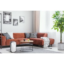 Бытовые осушители воздуха FUNAI RAD-N10F3E
