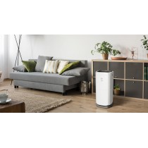 Бытовые осушители воздуха FUNAI RAD-Y60F7E